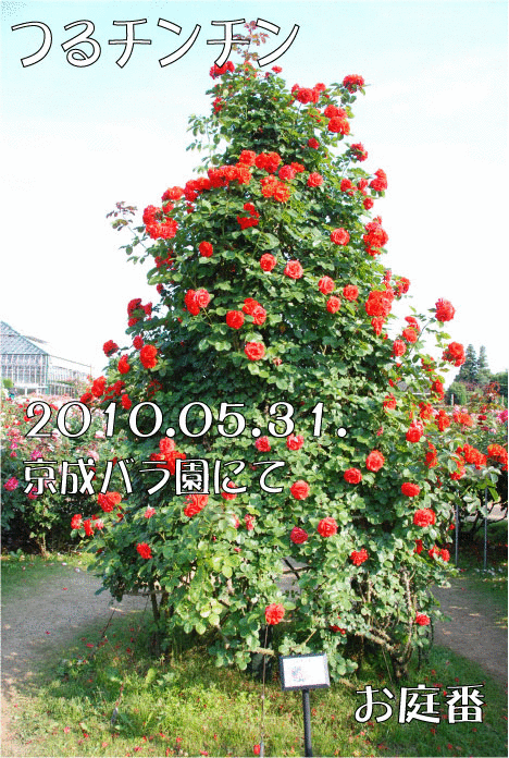 f:id:rotling:20110301202051g:image