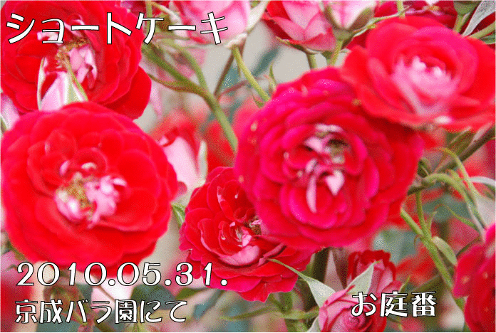 f:id:rotling:20110303081921g:image