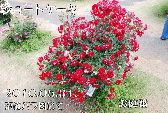f:id:rotling:20110303081923g:image