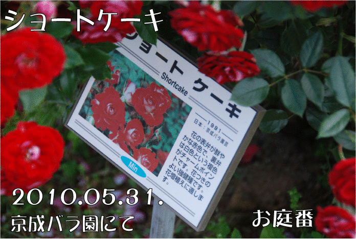 f:id:rotling:20110303081924g:image