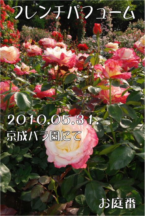 f:id:rotling:20110304231343g:image