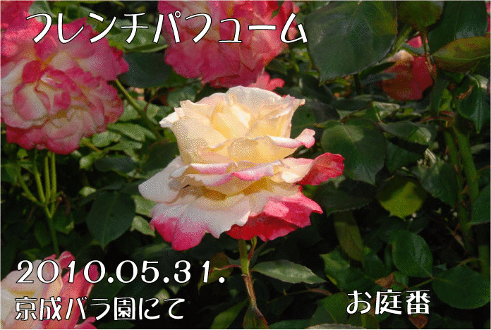 f:id:rotling:20110304231344g:image