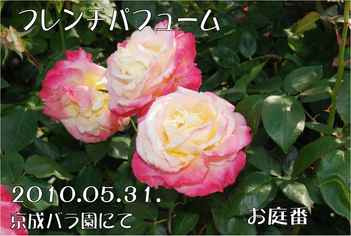 f:id:rotling:20110304231346g:image