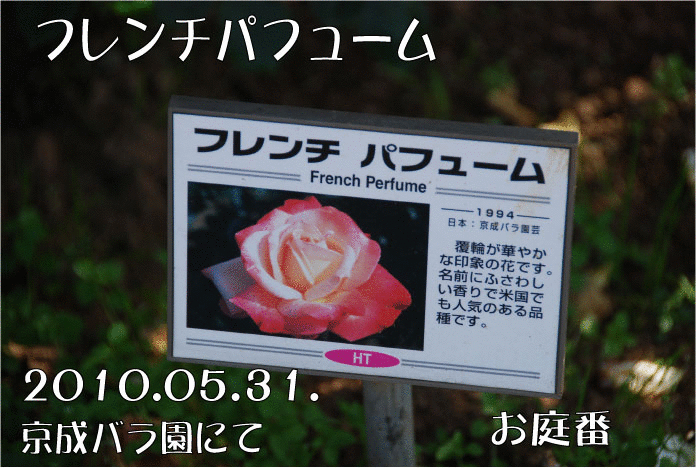 f:id:rotling:20110304231347g:image