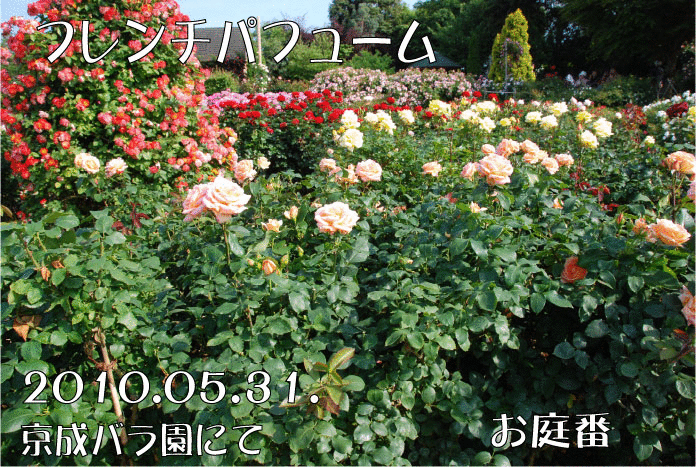 f:id:rotling:20110304231348g:image