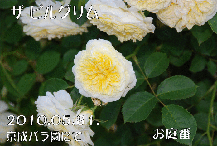 f:id:rotling:20110305225326g:image