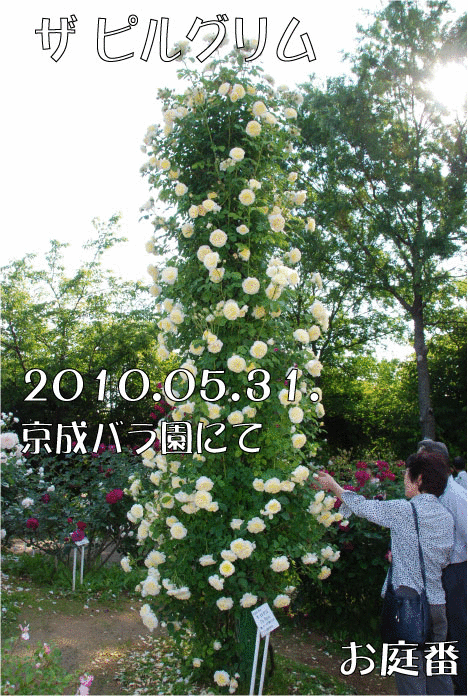 f:id:rotling:20110305225327g:image