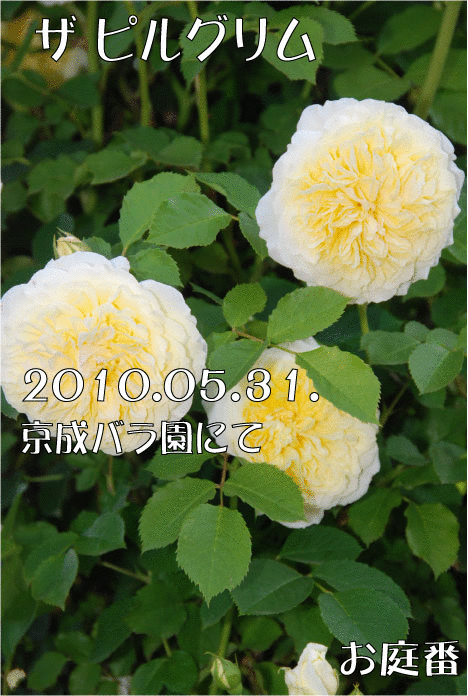 f:id:rotling:20110305225328g:image