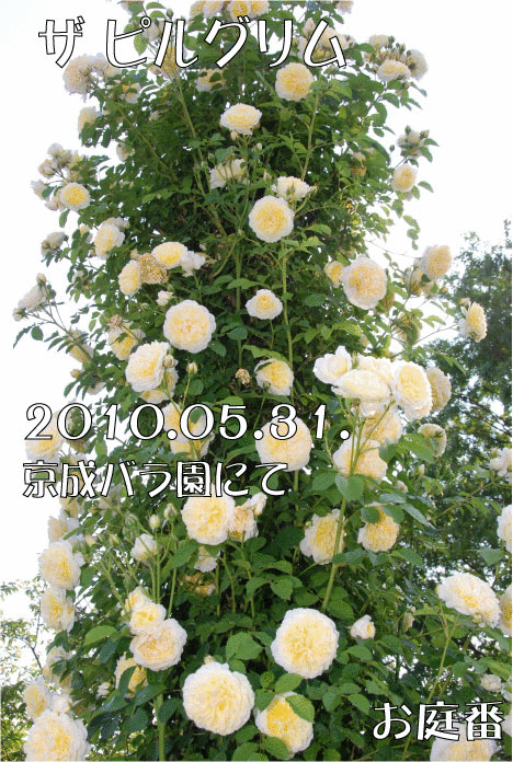 f:id:rotling:20110305225329g:image