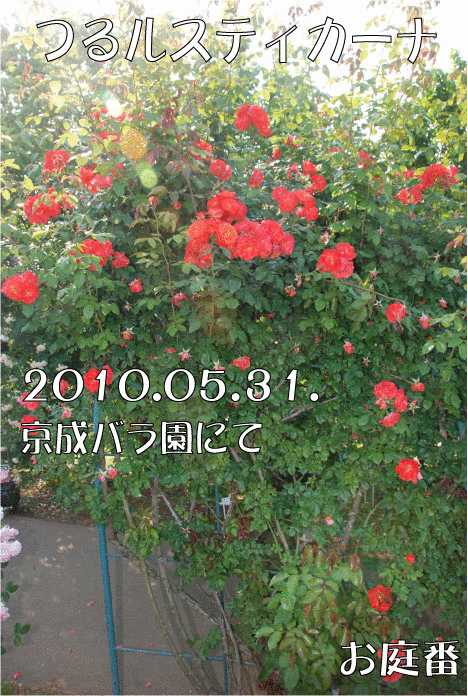 f:id:rotling:20110305225330g:image