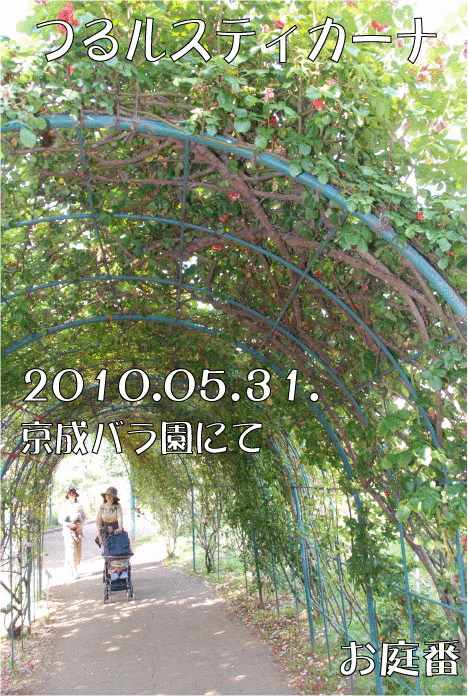 f:id:rotling:20110305225331g:image