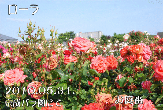 f:id:rotling:20110305225346g:image