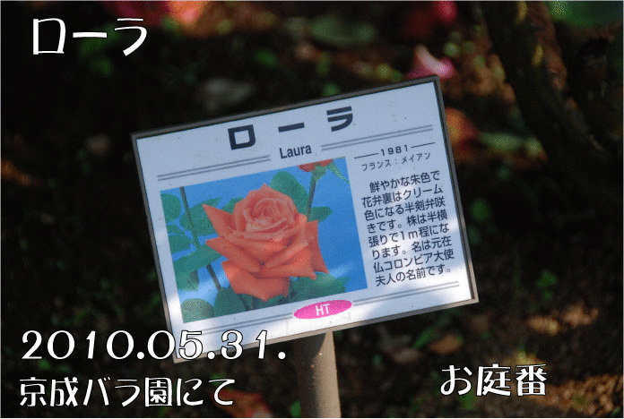 f:id:rotling:20110305225349g:image