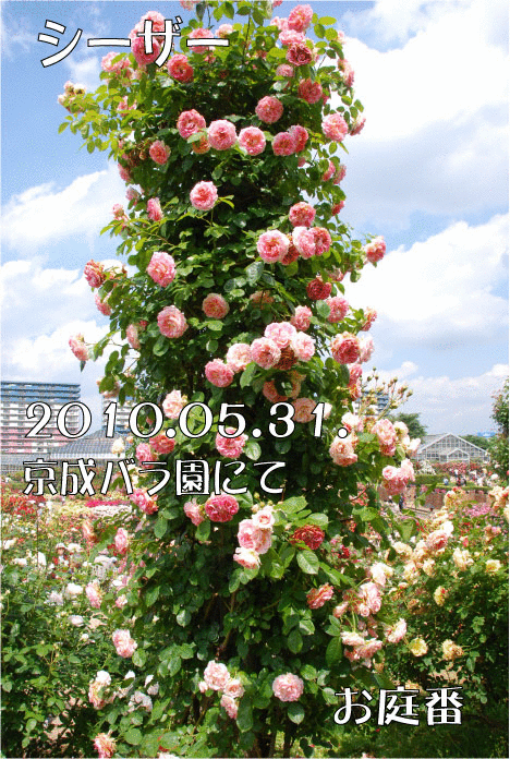 f:id:rotling:20110307103528g:image