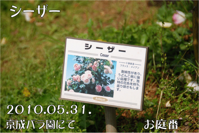 f:id:rotling:20110307103529g:image