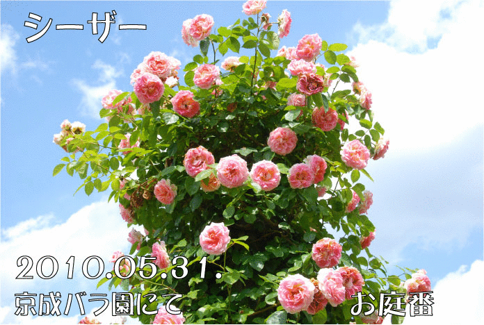 f:id:rotling:20110307103530g:image