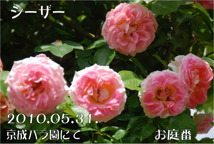 f:id:rotling:20110307103531g:image