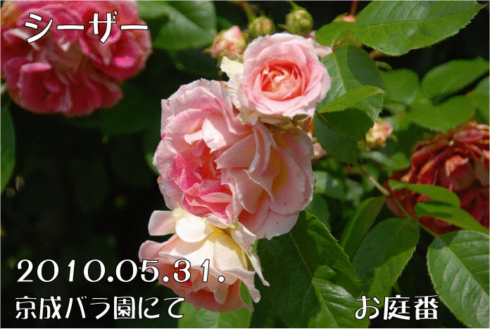 f:id:rotling:20110307103532g:image