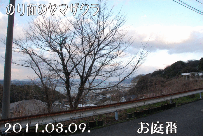 f:id:rotling:20110309235949g:image f:id:rotling:20110309235949g:image