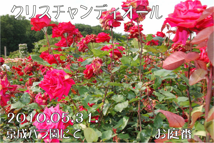 f:id:rotling:20110316123257g:image