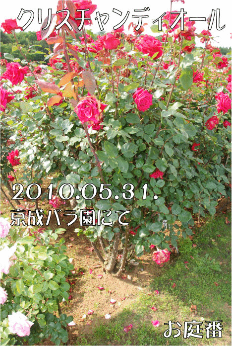 f:id:rotling:20110316123258g:image