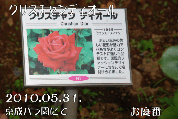 f:id:rotling:20110316123300g:image