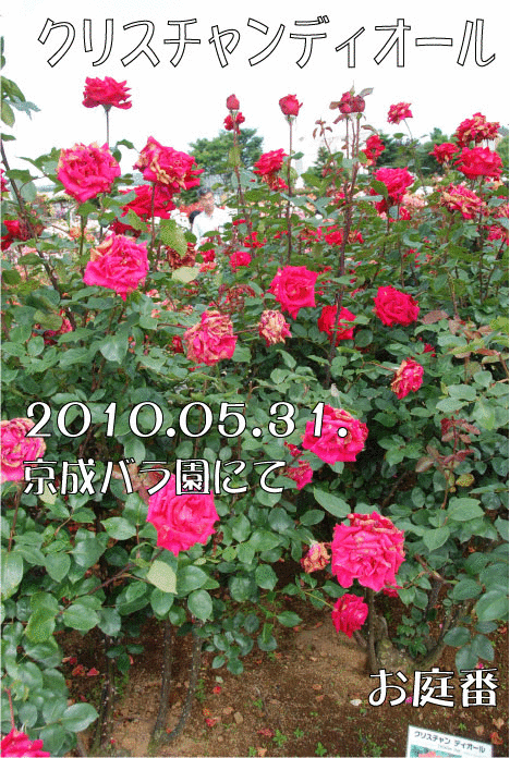 f:id:rotling:20110316123301g:image