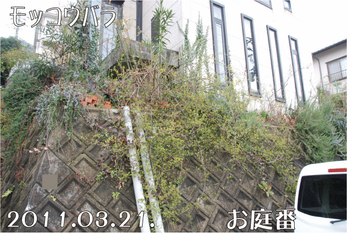 f:id:rotling:20110321224146g:image