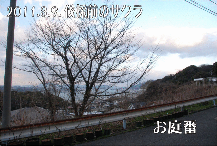 f:id:rotling:20110321234903g:image