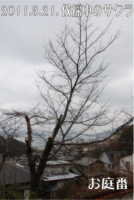 f:id:rotling:20110321234906g:image