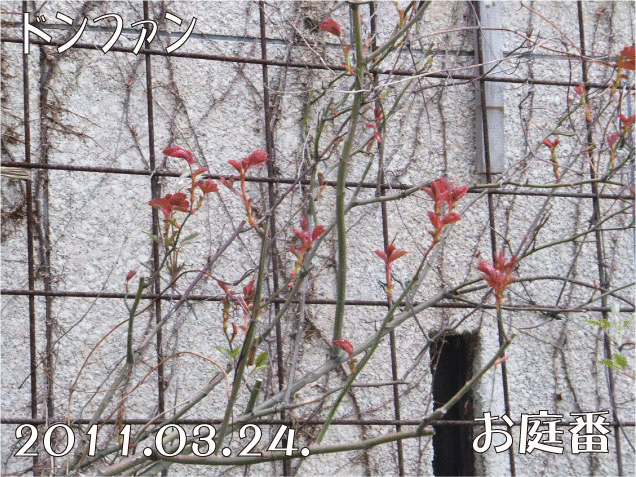 f:id:rotling:20110324153217g:image f:id:rotling:20110324153217g:image