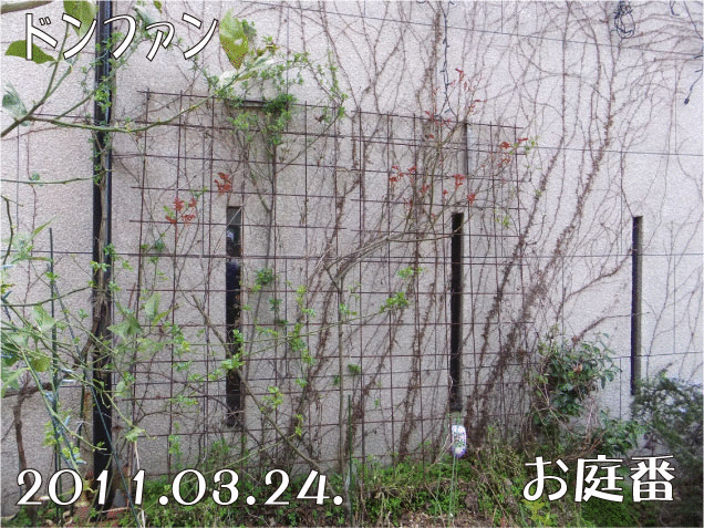 f:id:rotling:20110324153218g:image f:id:rotling:20110324153218g:image