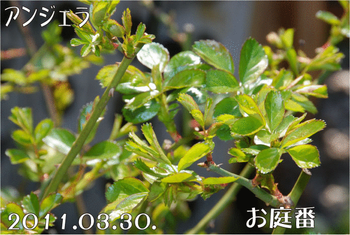 f:id:rotling:20110330152948g:image