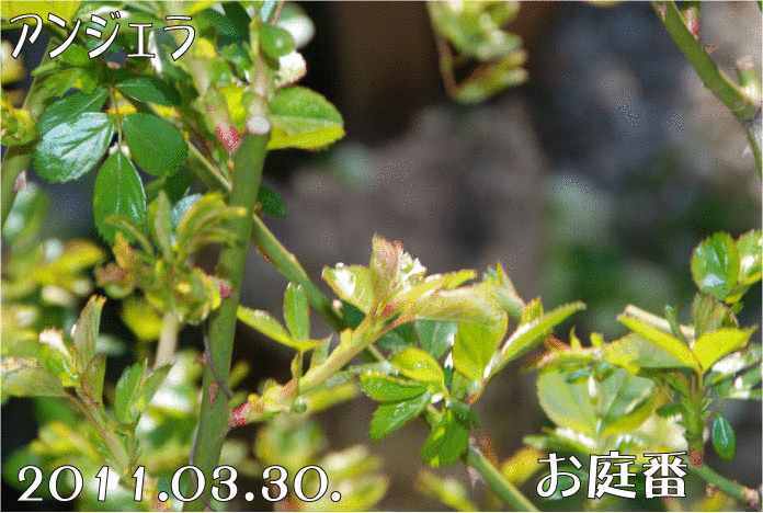 f:id:rotling:20110330152949g:image