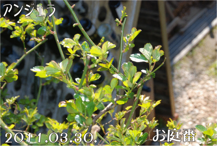 f:id:rotling:20110330152950g:image
