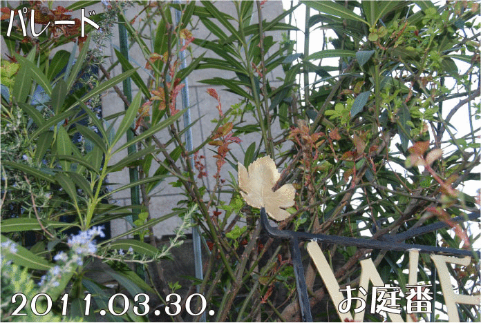 f:id:rotling:20110330152951g:image