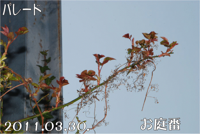 f:id:rotling:20110330152952g:image
