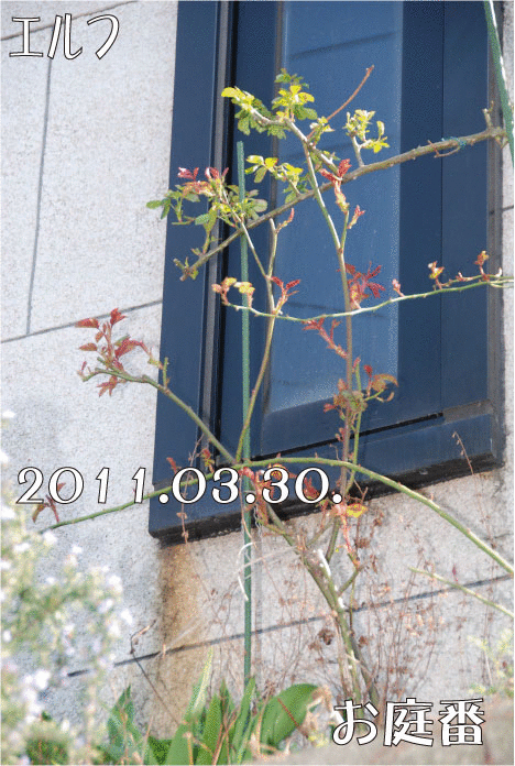 f:id:rotling:20110330153001g:image