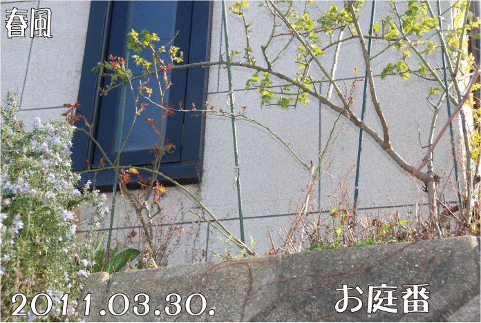f:id:rotling:20110330153002g:image