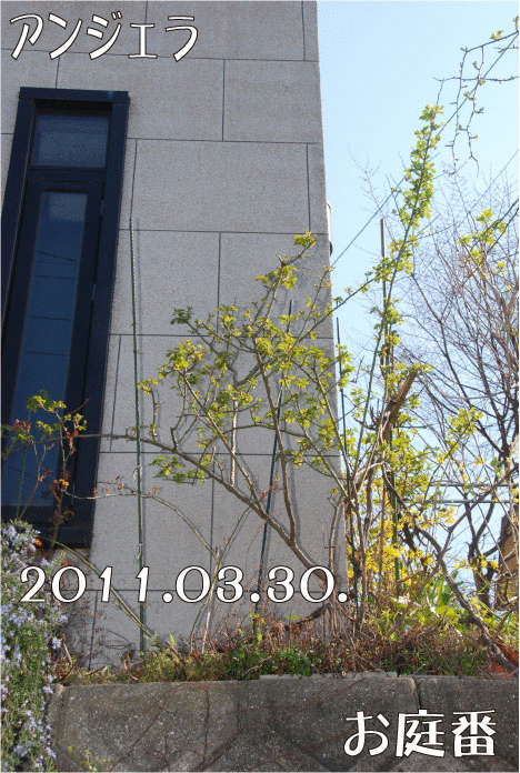 f:id:rotling:20110330153003g:image