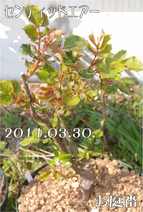 f:id:rotling:20110330153010g:image