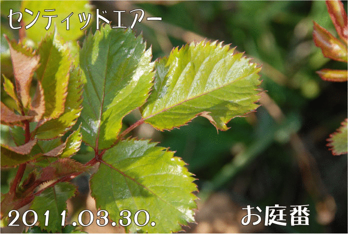 f:id:rotling:20110330153011g:image