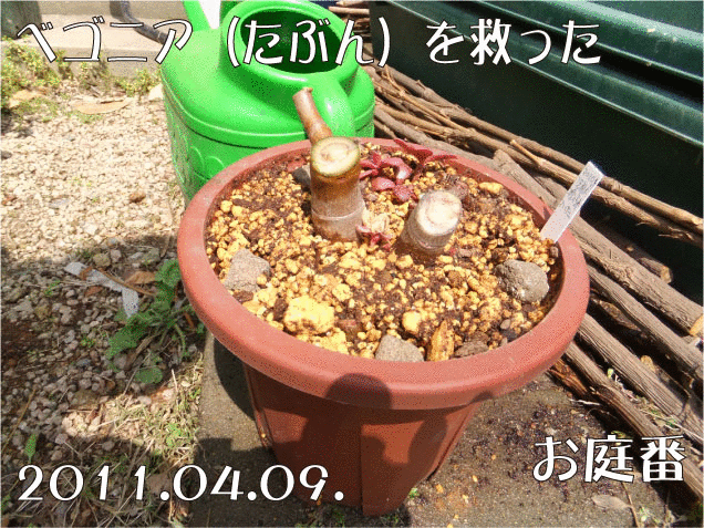 f:id:rotling:20110409115636g:image