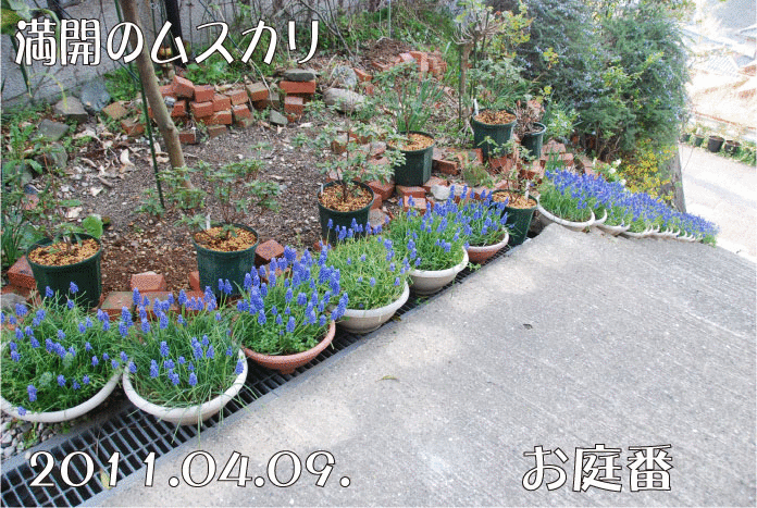 f:id:rotling:20110410072745g:image