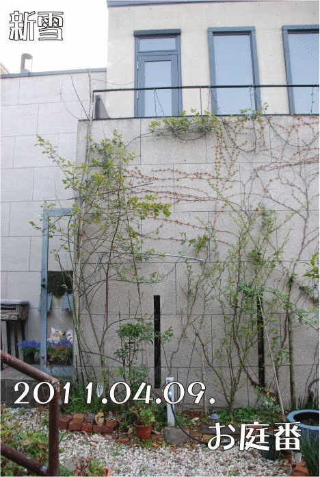 f:id:rotling:20110410183433g:image