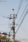 カラス
