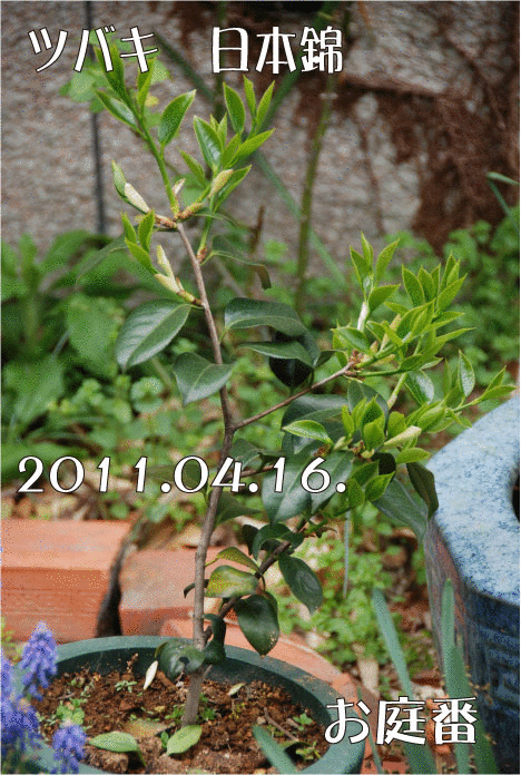 f:id:rotling:20110416134618g:image