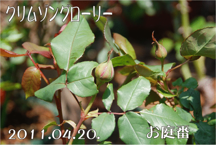 f:id:rotling:20110420172018g:image