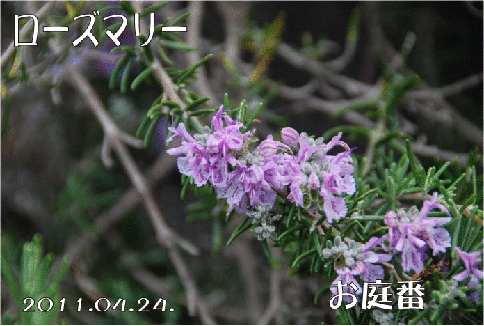 f:id:rotling:20110424224343g:image