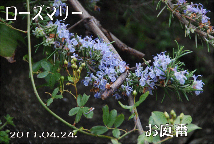 f:id:rotling:20110424224344g:image